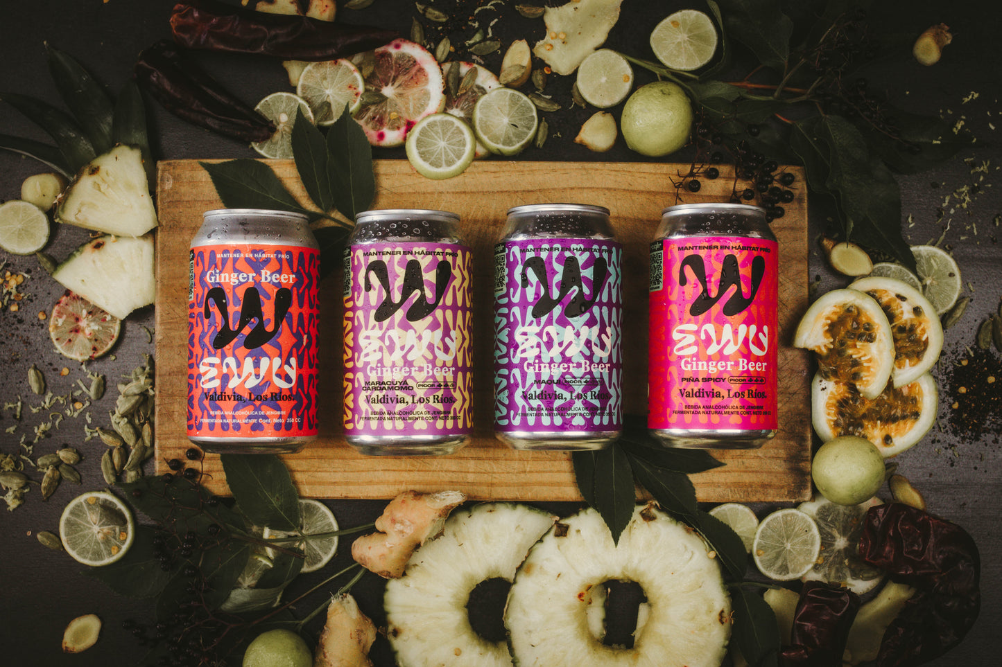 EWU Ginger Beer 24 Mix 4 Sabores