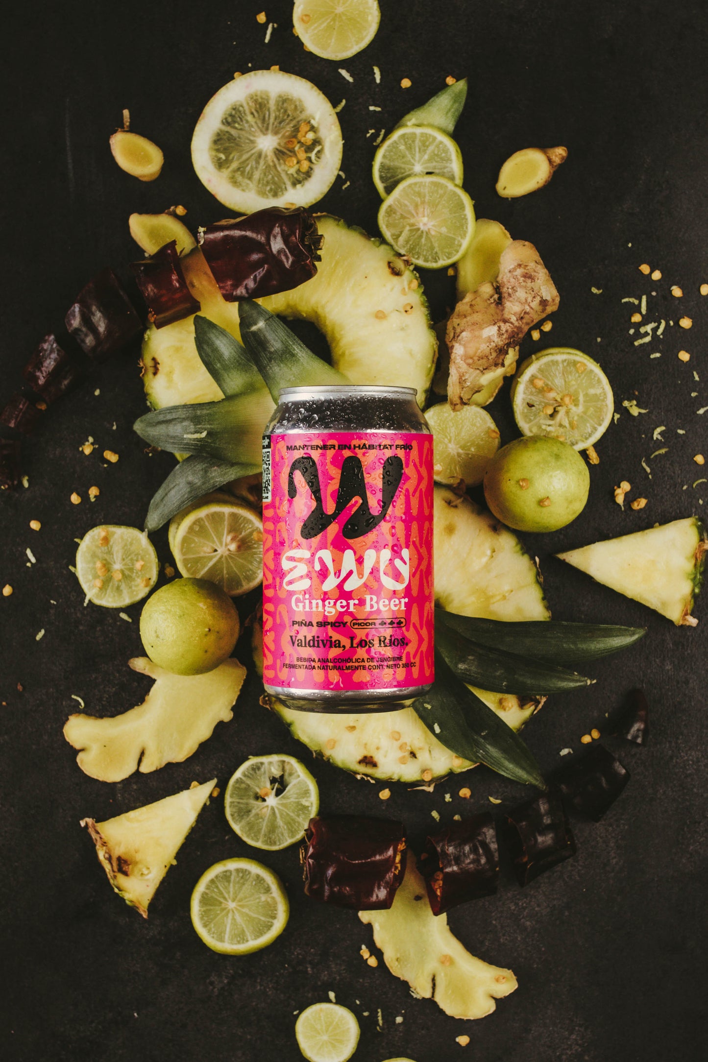 EWU Ginger Beer Piña Spicy