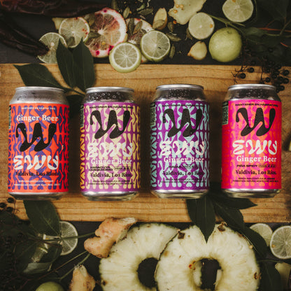 EWU Ginger Beer 24 Mix 4 Sabores