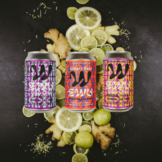 EWU Ginger Beer Mix Original, Maracuyá y Maqui